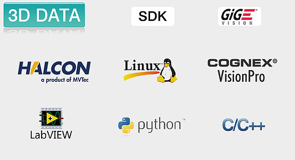 Laser scanner raw data
